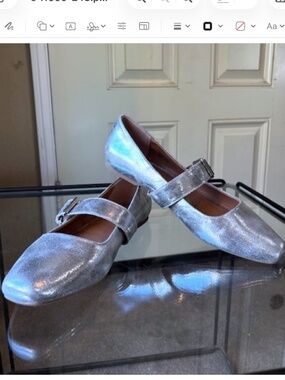 DOLCE VITA Marcello Distressed Silver Leather Mary-Jane/Ballet Flats NWOB/sz 10